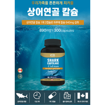우리가족 뼈 와 치아 건강에 상어연골 칼슘 추출물 300캡슐 (75일분) 허리 무릎 관절 영양제, 상어연골 칼슘 1병