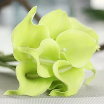 블럭마트 카라 조화 6p, 핑크