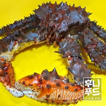 하나사키 활킹크랩 한마리 2.0k 내외 (활어발송)