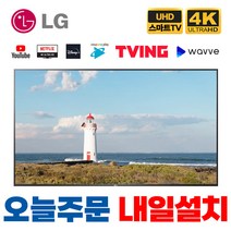 LG전자 83인치 TV 올레드 OLED (210CM) 4K UHD 스마트 OLED83C1PUA, 지방 벽걸이설치배송