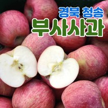 산지직송 경북 청송 사과 부사 5kg 10kg 가정용 정품 중소과 중과 대과, 가정용_부사, 10kg_중과