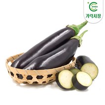 온도씨 가락시장 가지 1개, 단품