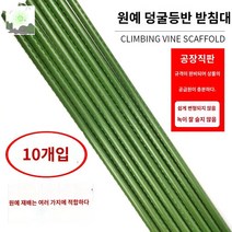 호박키우기 덩쿨 지지대 키우기 오이 방울토마토 강낭콩지지대 수세미, 지름 11mm 길이 150cm (10수), 중등하다