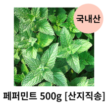 [특급] 페파민트 100g 500g 페퍼민트 허브 생잎, 페퍼민트100g