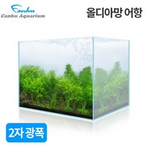 2자광폭 초백어항 60x45x45cm (6T) 올디아망 - 오픈어항 사각수조 올디수조 2자광폭 광폭 60광폭 600광폭 디아망 맑은유리