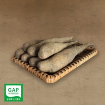 흙향기 우수농작물 마 안동마 산마 참마 산약 생마 햇마 5kg 10kg, 산마 못난이특 10kg