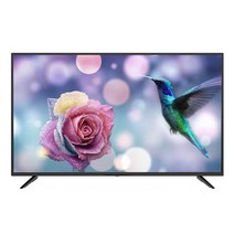 TNM 라이트 4K FHD LED TV, 109cm, TNM-E4300F, 스탠드형, 고객직접설치