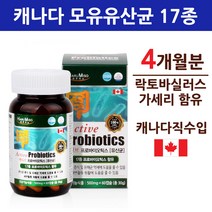 식약처인증 l2b1 유산균 스마일린 락토바실러스 가세리 17종 분말 가루 캡슐 장용성 람노서스 애시도필러스 포스트 프로 프리 신 바이오틱스 마이크로바이옴 코팅 예민한 둔감한 장, 2병
