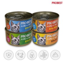 프로베스트 캣푸드 고양이 간식캔, 참치 + 연어 혼합맛, 48개입