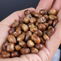 25년 기술자가 직접 로스팅한 국산 옥수수차 500g 1000g