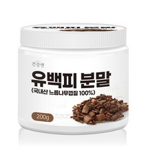 건강앤 국내산 느릅나무 유근피 유백피 분말 200g 계량스푼 증정, 2통 400g