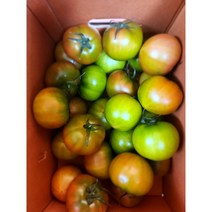 A+급 대저 짭짤이 토마토 2.5kg 최상급 소과 부산 대저토마토 짭짜리, 짭짤이 토마토 2.5kg(A+등급소과)