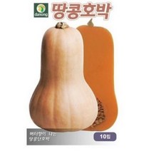 다농 땅콩호박씨앗 호박씨앗 10p, 7개