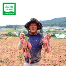 [오픈기념] 정읍젊은농부 달콤한 꿀고구마 베니하루카, 꿀고구마 베니하루카 120g~300g 특상5kg