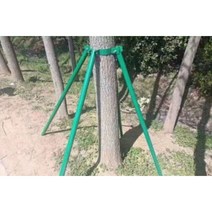 사과나무 지주대 과수 받침대 지지대 수목 지지목, 2미터 길이 50관