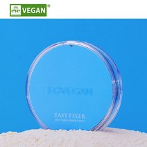 이지비건 이지픽서 파우더 팩트, 퍼펙트 픽싱 브러쉬, 1개
