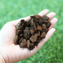 오키아트 바크 소 중 대 특대 특특대 나무껍질 뉴질랜드, 바크2L (중립)6-9mm, 1개