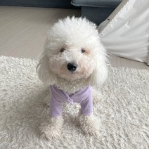 그루밍독 반려동물 러블리 파스텔 쫀쫀 가디건, 퍼플