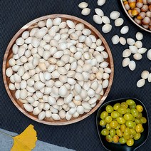 지투지샵 피은행 1kg(중)x2