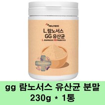 gg유산균 프로바이오틱스 가루 l 람노서스 분말 락토바실러스 프리바이오틱스 프락토올리고당 장건강 3세대 생유산균 유익균 먹이, 1통