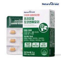 네이처그랜드 프리미엄 징코앤메모리 혈행개선 기억력개선 은행잎추출물 500mgx30정, 1통, 30정