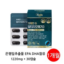 뉴일리 징코알티지오메가3 1박스 은행잎추출물 노르웨이산 정제어유 홍삼농축분말 대두레시틴