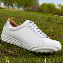 R100 다니엘프라임 깔끔 디자인 연습용 스크린용 필드용 스니커즈형 후기대박 가성비대박 착화감대박 데일리 골프화