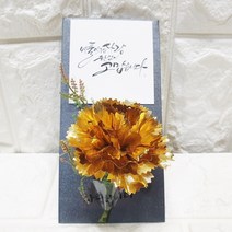 영하우스 부모님용돈봉투 고급돈봉투 어버이날 현금봉투, 금색, 1개