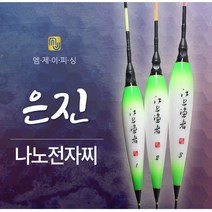 MJ피싱 은진 나노전자찌 양어장찌, 665