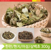 건강한 약초 삼백초 어성초 현지초 한련초 300g, 한련초(16H5)