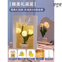무드등 선물 소품 조명 히트 집들이 라탄 수유등 공간 개업 인테리어, 튤립 무드+쇼윈도 선물세트+led등