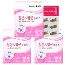 타이거아울렛 철분 엽산 60캡슐 x 3박스 6개월분 여성 임산부 수유부 임신초기 남성 청소년 어린이 가용성 햄철 헴철 철분제, 단품, 단품