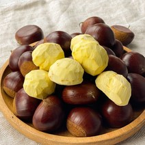 공주 정안 알밤 1kg 600g 햇밤 생밤 생율 깐밤 생율밤, 공주 정안 햇 대보밤[대 사이즈] 1kg