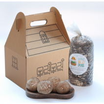 표고 버섯 키우기 키트 집에서 버섯키우기 [1입]