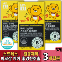식약청인정 피로회복 영양제 60정 홍경천추출물 비타민B1 B2 B6 B12 나이아신 판토텐산 엽산 비오틴 수험생 온가족 스트레스케어 릴렉스 스트레스완화 일동제약, 3개월분, 병포장 700mgx60정3병