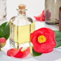 새로핸즈 동백오일 베이스 오일 100ml 동백유, 단품
