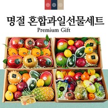 프리미엄 설 과일선물세트 애플망고 선물 사과배 한라봉 선물세트 과일바구니 보자기 명절 설날과일세트10+1, 프리미엄이바지9.5kg내외/보자기서비스