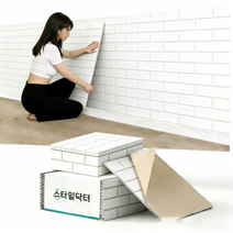 스타일닥터 소음방지 흡음재 폴리 소재 현관문