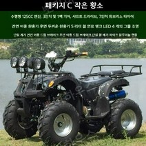 ATV 4륜바이크 자동 변속기 농업용 해변 산악 사발이오토바이 사륜오토바이 125cc, C