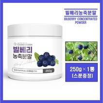 오스트리아산 빌베리 농축 분말 농축액 야생 블루베리 원물 가루 파우더 고함량 안토시아닌 폴리페놀 플라보노이드 눈 건강 빌베리 차 tea 쉐이크 온가족 추천 bilberry, #영에버그린#빌베리농축분말 250g(스푼증정), 1통