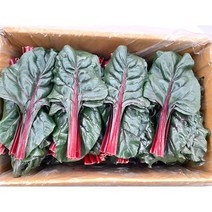 야채왕 비트잎 2kg 잎비트