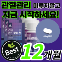 관절엔 프리미엄 대용량 리얼 콘드로이친 코드로이친 콘드래친 콘드로이틴 콘도로이친 관절 연골 무릎 무릅 어깨 손목 발목 손가락 허리 노인 부모님 40대 50대 60대 보조제 선물, 12통 / 12개월