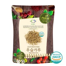 푸른들판 국내산 우슬 뿌리 분말 가루 100% 쇠무릎 쇠무릎지기 우슬차 해썹 인증, 500g, 1개