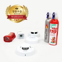 단독형 화재 경보기 가정용 연기 감지기(광전식 정온식 열감지) 휴대용 비상등 소화기, 05. 긴급 소화기 실버