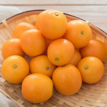 새콤달콤 한입에 쏙 제주 금귤 낑깡, 1box, 2kg