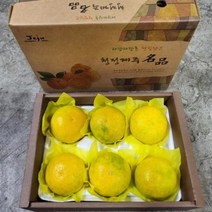 황금향 3kg 가정용 15개내외 제주황금향 천혜향 한라봉 레드키위 노지감귤 조생귤, 상세페이지 참조