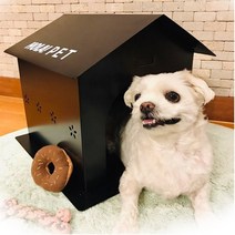 마더가든 올라 철재 펫하우스 강아지집, 화이트
