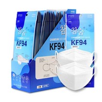 참숨 KF94 황사방역 식약처허가 숨쉬기편한 국산 일회용마스크 대형 50매 100매, 대형-50매
