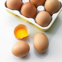 (농협안심계란)HACCP 농장생산 신선란 특란 계란 20구