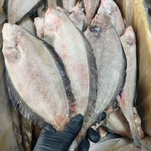 국산 반건조 물가자미 기름가자미 중 10미, 반건조 물가자미 중 10마리+10마리